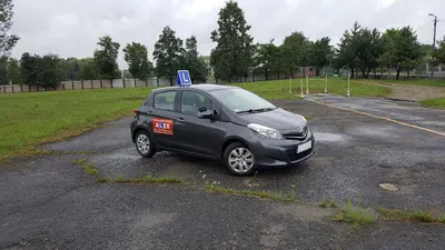 Alex - Ośrodek Szkolenia Kierowców